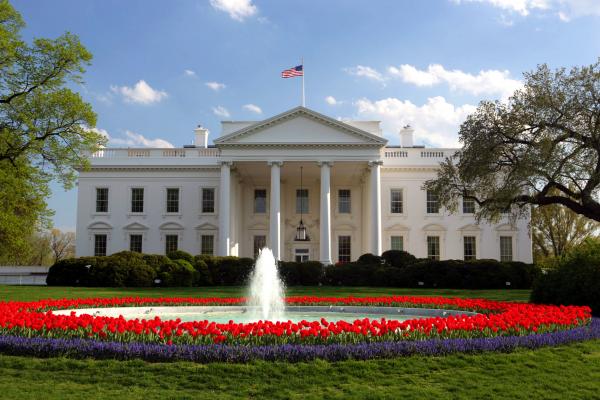 Whitehouse lawn