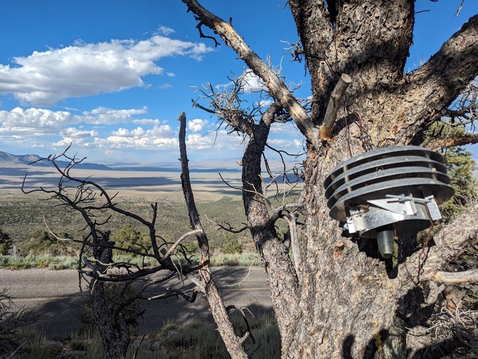 A piece of small equipment chained to a tree with no leaves and a backdrop of mountains, blue skies and white clouds.