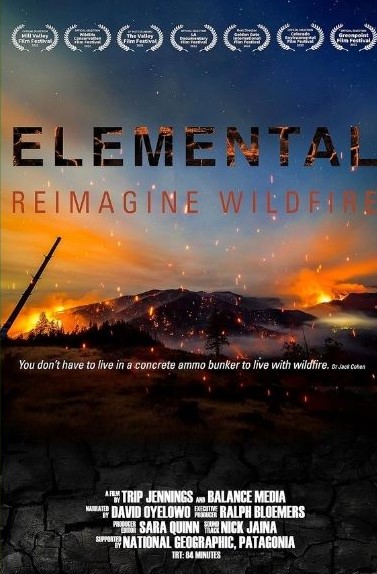 Flyer with image of mountain and fires in a distance around it and embers flying around under blue skies. text says elemental reimagine wildfire  with credits