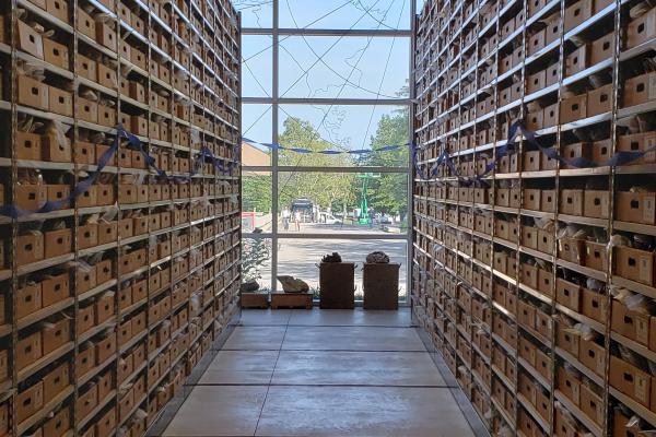 Over 50,000 rock samples are housed on floor-to-ceiling shelves within the PRR.