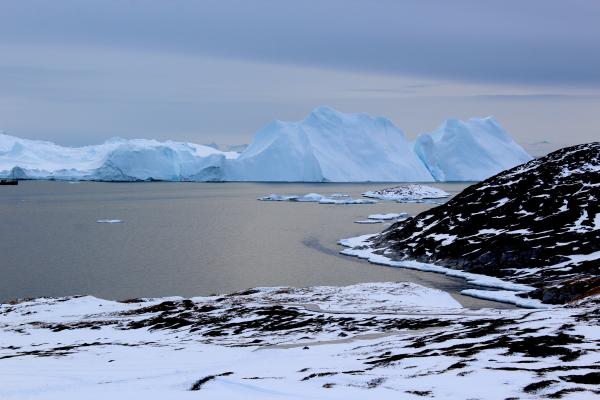 Icebergs near Greenland form from ice that has broken off--or calved--from glaciers on the island. 