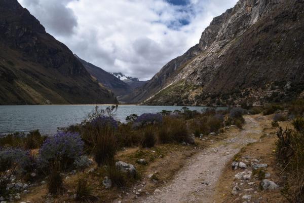 Glacier Environmental Change