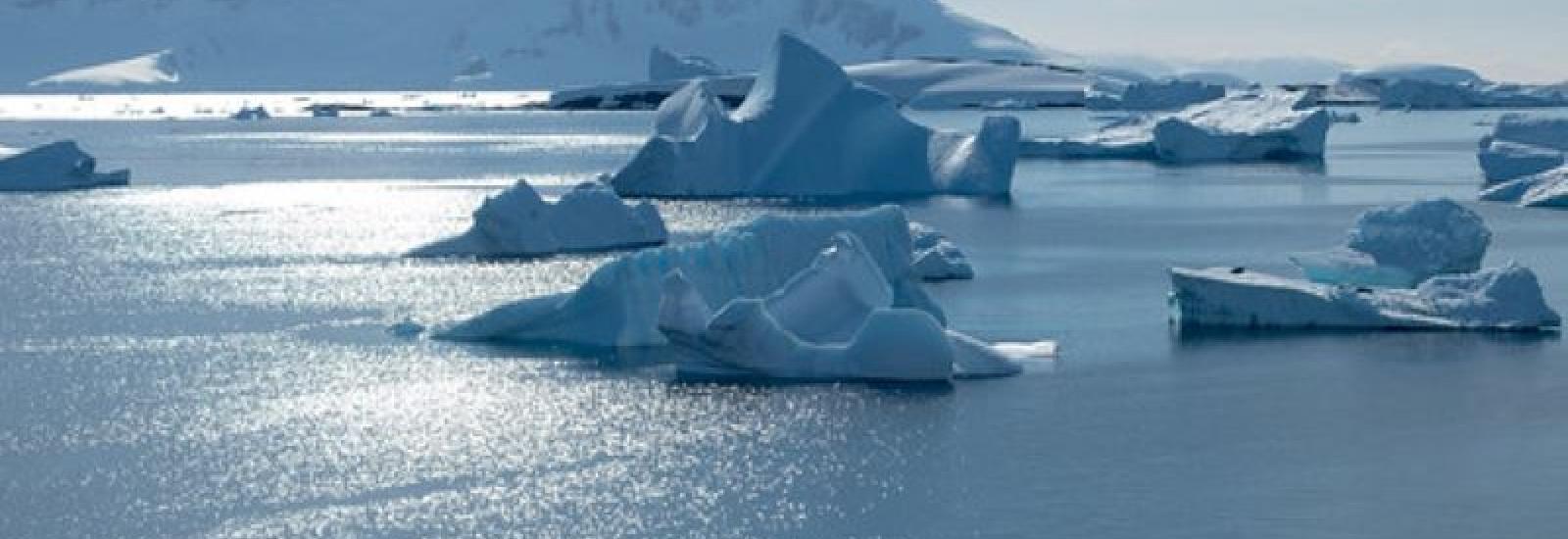icebergs floating in Antarctic water